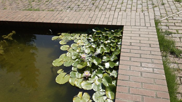 Brunnen_20.jpg